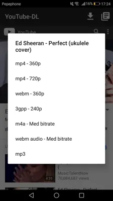 YouTube-DL android App screenshot 0